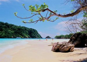เกาะรอก
